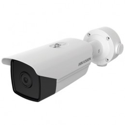 Caméra vidéosurveillance thermique IP 6mm Hikvision DS-2TD1217-6/V1