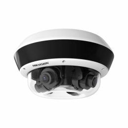 Hikvision DS-2CD6D24FWD-IZHS Caméra réseau PanoVu flexible EXIR IP67