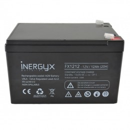 Batterie Rechargeable Vrla 12V/12 Ah IZYX FX1212